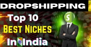 Top 10 Best Dropshipping Niches in India in Hindi 2024